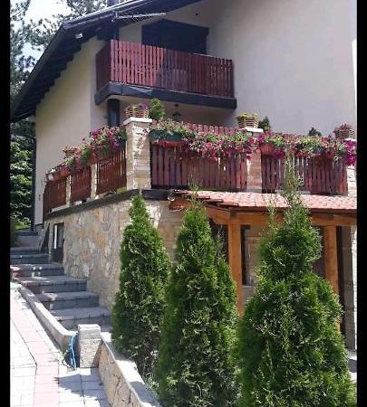 Apartment Niva Zlatibor Zewnętrze zdjęcie