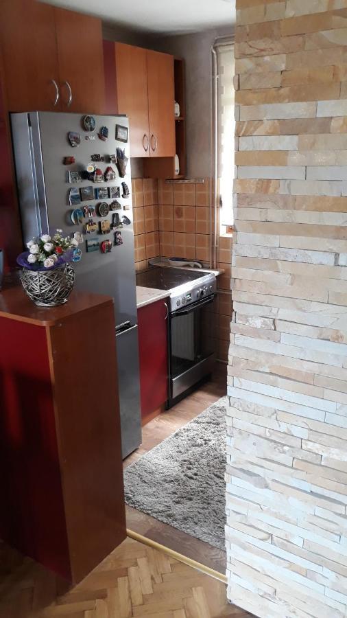Apartment Niva Zlatibor Zewnętrze zdjęcie