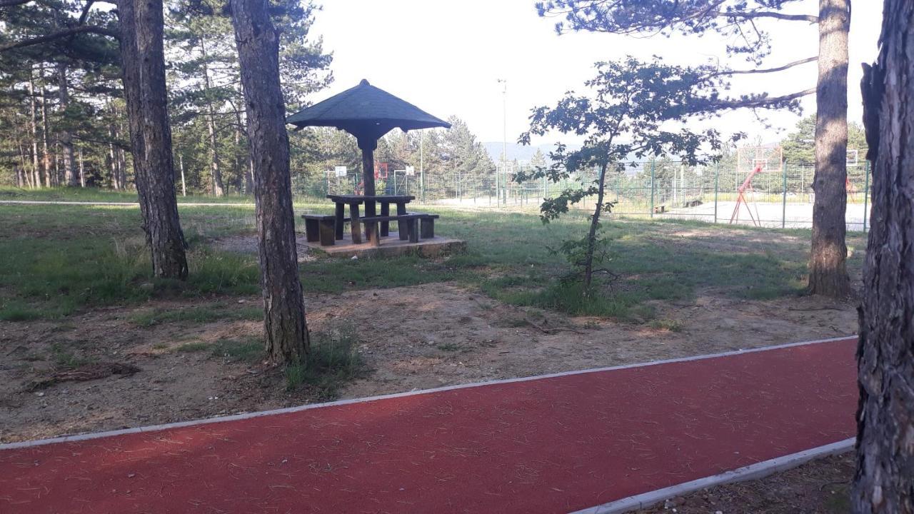 Apartment Niva Zlatibor Zewnętrze zdjęcie