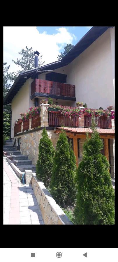 Apartment Niva Zlatibor Zewnętrze zdjęcie