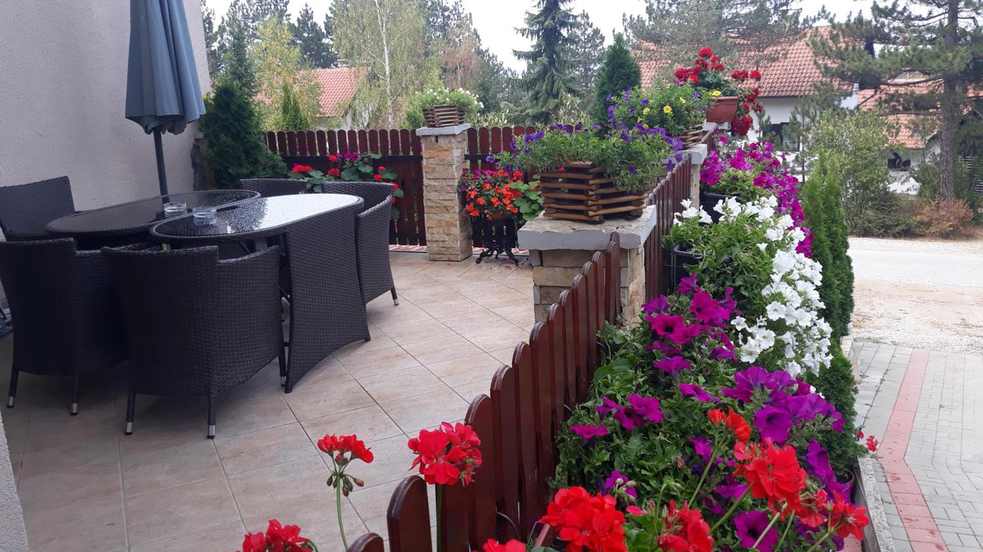 Apartment Niva Zlatibor Zewnętrze zdjęcie