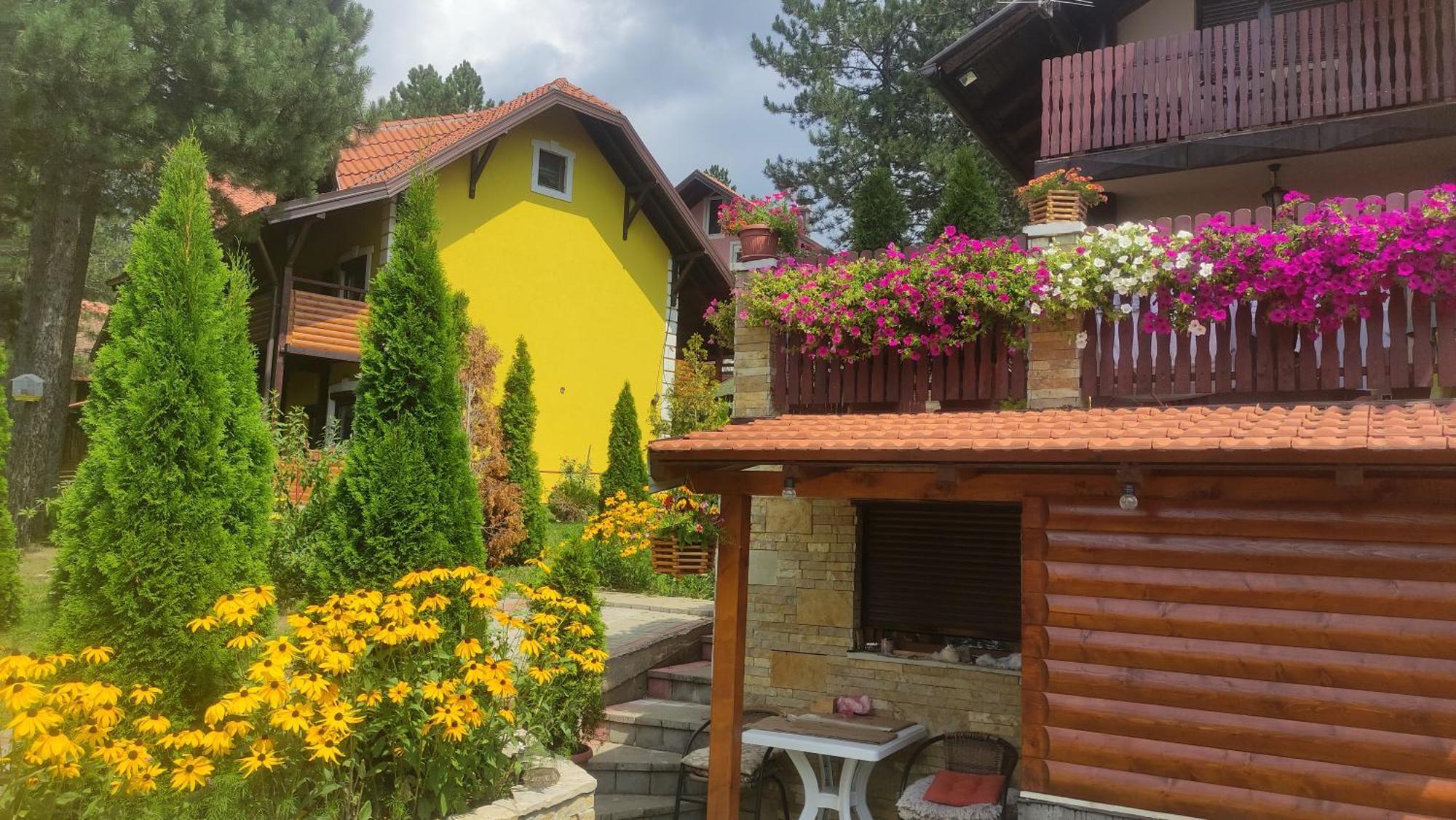 Apartment Niva Zlatibor Zewnętrze zdjęcie