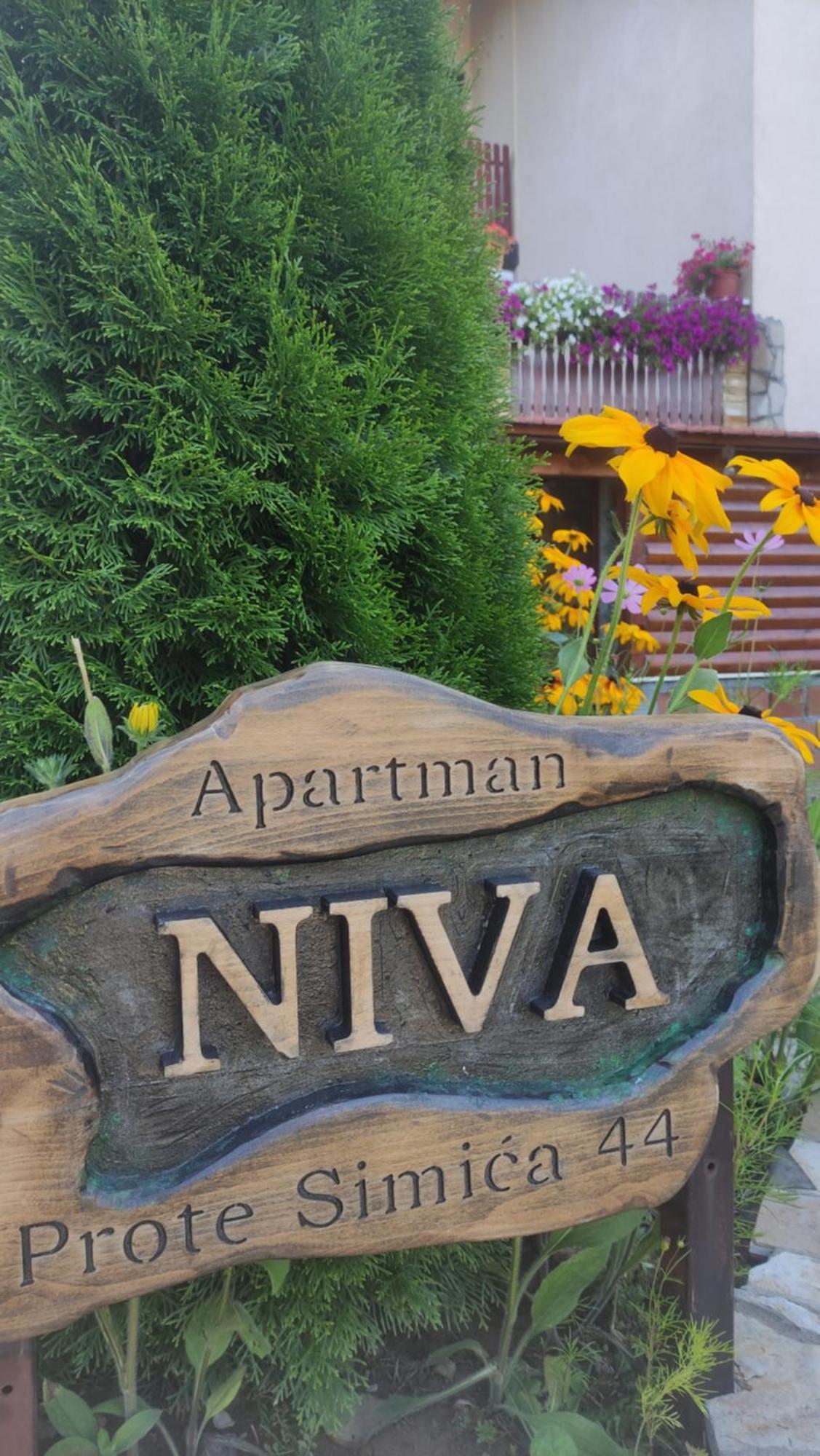 Apartment Niva Zlatibor Zewnętrze zdjęcie