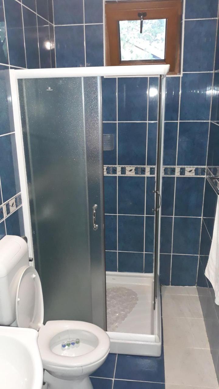 Apartment Niva Zlatibor Zewnętrze zdjęcie